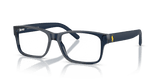 Shiny Transparent Blue / Demo Lens