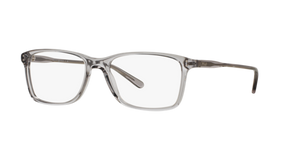 Semi-Shiny Transparent Grey / Demo Lens
