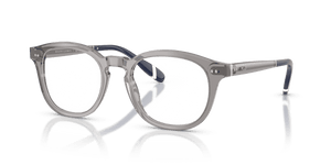 Shiny Transparent Grey / Demo Lens