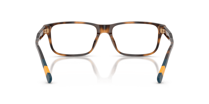 Polo Ralph Lauren PH2302U in Shiny Havana (5003) - Alternate View