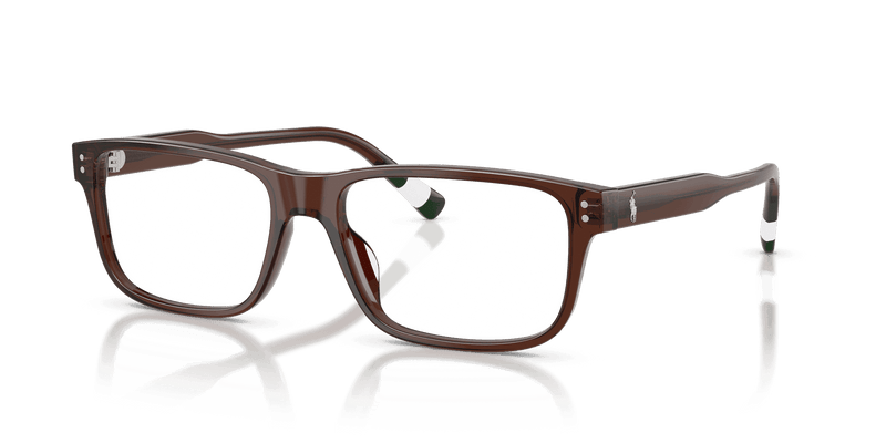 Polo Ralph Lauren PH2302U in Shiny Transparent Brown (6315) - Alternate View