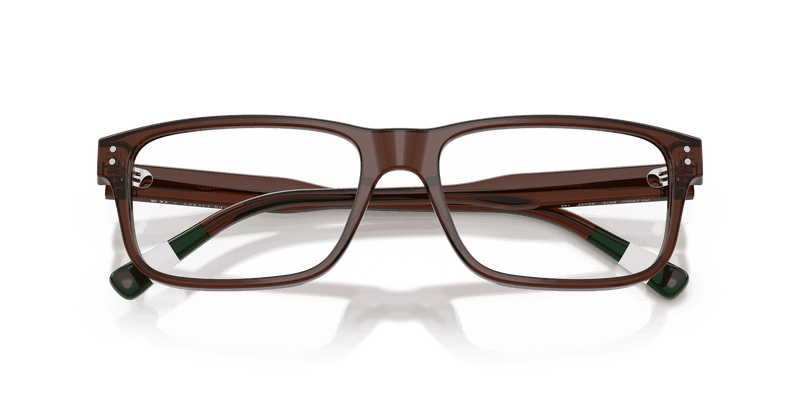 Polo Ralph Lauren PH2302U in Shiny Transparent Brown (6315) - Alternate View
