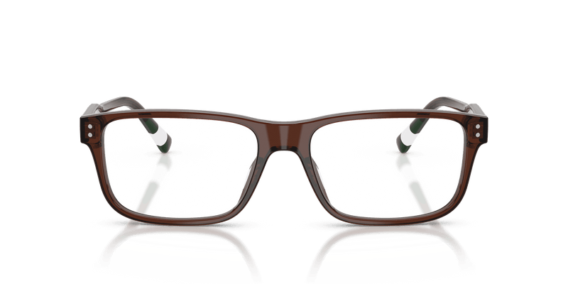 Polo Ralph Lauren PH2302U in Shiny Transparent Brown (6315) - Alternate View