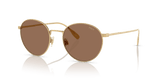 Shiny Gold / Dark Brown (941173)