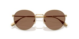 Shiny Gold / Dark Brown (941173)