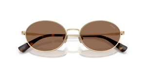 Shiny Pale Gold / Dark Brown (928673)