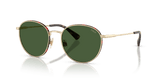 Shiny Pale Gold / Bottle Green (928671)