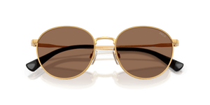 Shiny Brass / Dark Brown (940273)