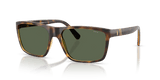 Shiny Transparent Dark Havana / Green