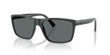 Shiny Dark Grey / Polarized Dark Grey