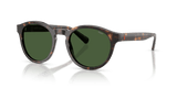 Shiny Dark Havana / Bottle Green (500371)