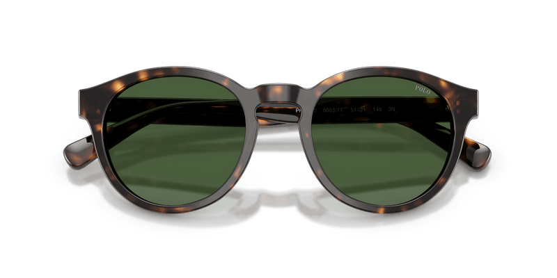 Polo Ralph Lauren PH4192 in Shiny Dark Havana / Bottle Green (500371) - Side View