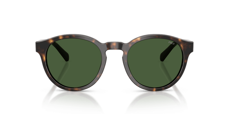 Polo Ralph Lauren PH4192 in Shiny Dark Havana / Bottle Green (500371) - Back View