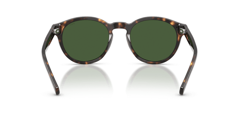 Polo Ralph Lauren PH4192 in Shiny Dark Havana / Bottle Green (500371) - Alternate View