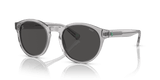 Shiny Transparent Grey / Dark Grey (541387)