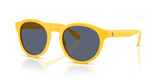 Shiny Yellow / Grey Blue (542087)