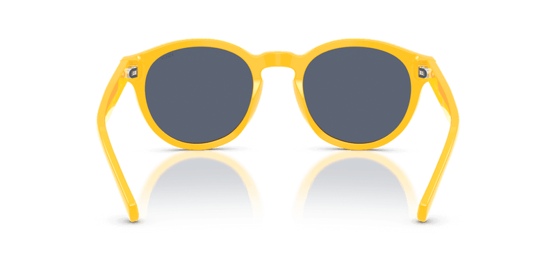 Polo Ralph Lauren PH4192 in Shiny Yellow / Grey Blue (542087) - Alternate View