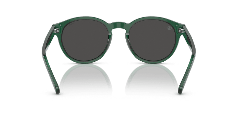 Polo Ralph Lauren PH4192 in Shiny Transparent Green / Dark Grey (608487) - Alternate View