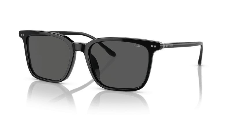 Polo Ralph Lauren PH4194U in Shiny Black / Grey (500187) - Alternate View