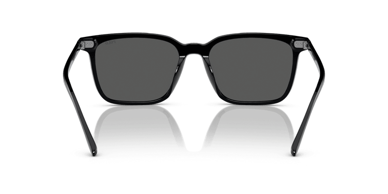 Polo Ralph Lauren PH4194U in Shiny Black / Grey (500187) - Alternate View