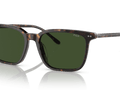 Shiny Dark Havana / Dark Green (500371)