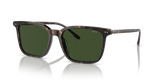 Shiny Dark Havana / Dark Green (500371)