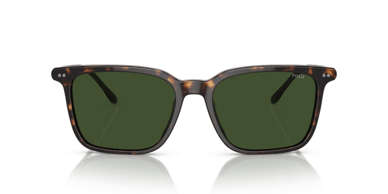 Polo Ralph Lauren PH4194U in Shiny Dark Havana / Dark Green (500371) - Alternate View