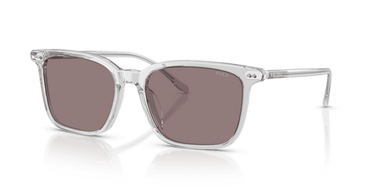 Shiny Transparent Grey / Dark Purple (59587N)