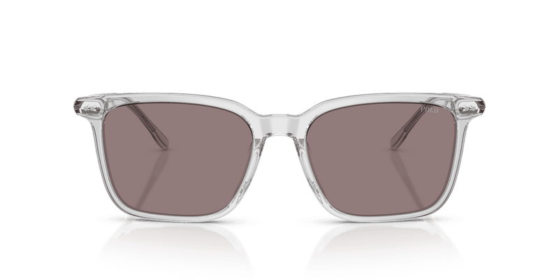 Polo Ralph Lauren PH4194U in Shiny Transparent Grey / Dark Purple (59587N) - Back View