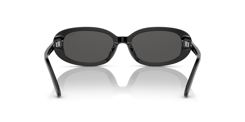 Polo Ralph Lauren PH4198U in Shiny Black / Dark Grey (500187) - Alternate View