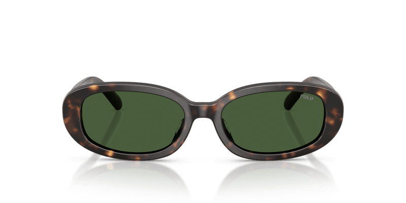Polo Ralph Lauren PH4198U in Shiny Dark Havana / Bottle Green (500371) - Back View