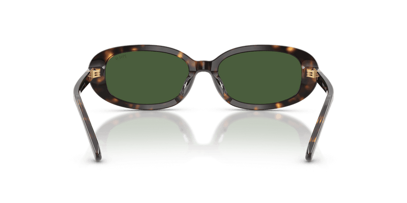 Polo Ralph Lauren PH4198U in Shiny Dark Havana / Bottle Green (500371) - Alternate View