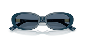 Shiny Blue / Dark Blue (546580)