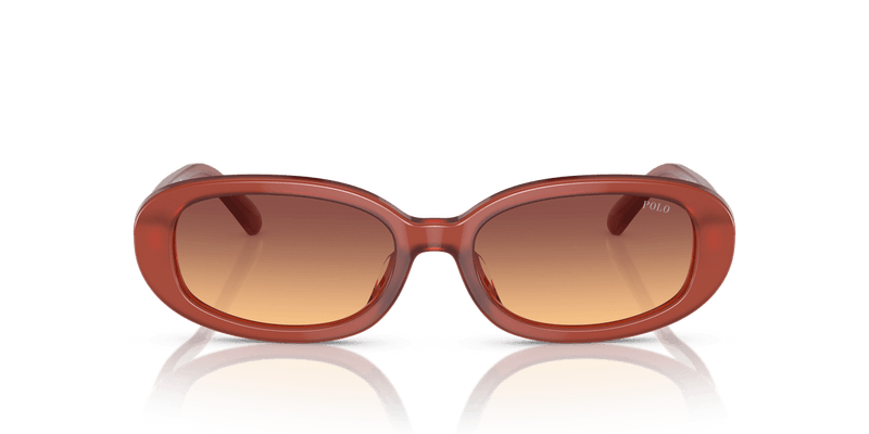 Polo Ralph Lauren PH4198U in Opal Cognac / Orange Gradient Violet (619478) - Alternate View