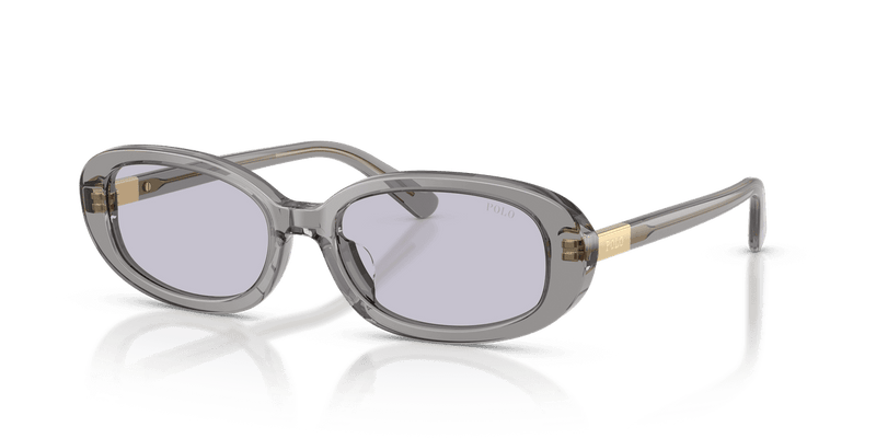 Polo Ralph Lauren PH4198U in Shiny Transparent Dark Grey / Lilac (63181A) - Alternate View