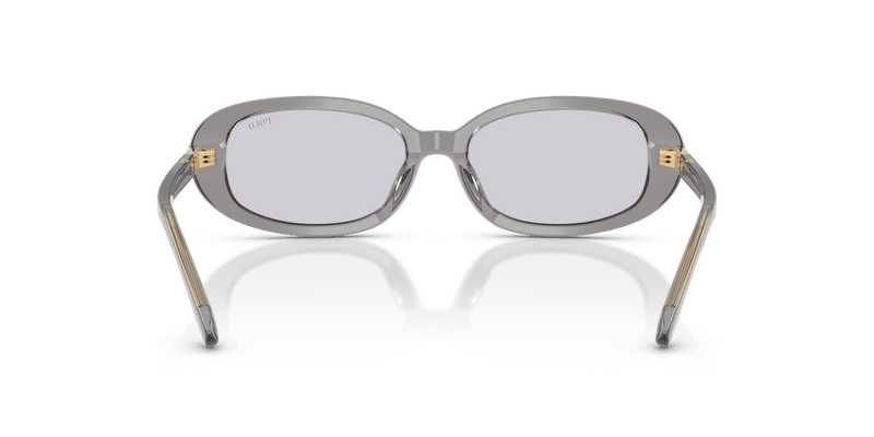 Polo Ralph Lauren PH4198U in Shiny Transparent Dark Grey / Lilac (63181A) - Alternate View