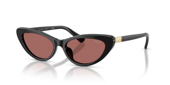 Polo Ralph Lauren PH4199U - Shiny Black / Dark Violet (500169)