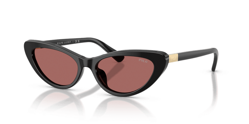 Polo Ralph Lauren PH4199U in Shiny Black / Dark Violet (500169) - Front View