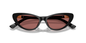 Shiny Black / Dark Violet (500169)