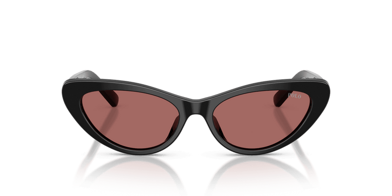 Polo Ralph Lauren PH4199U in Shiny Black / Dark Violet (500169) - Back View
