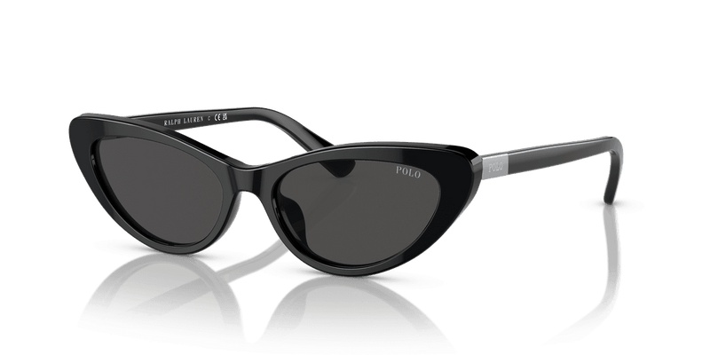 Polo Ralph Lauren PH4199U in Shiny Black / Dark Grey (500187) - Alternate View