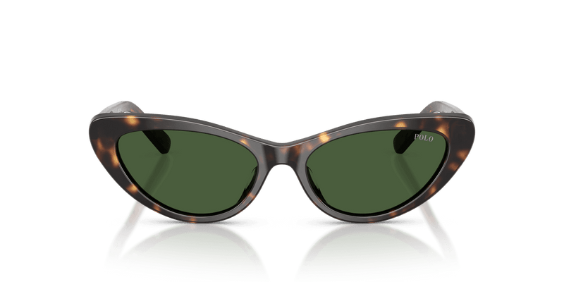Polo Ralph Lauren PH4199U in Shiny Dark Havana / Bottle Green (500371) - Alternate View