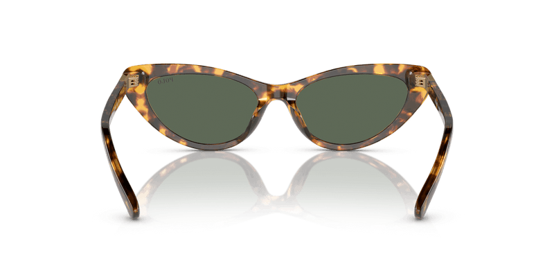 Polo Ralph Lauren PH4199U in Shiny Havana / Dark Green (607871) - Alternate View