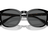 Shiny Black / Dark Grey (500187)