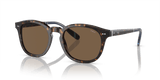 Shiny Dark Havana / Brown (500373)