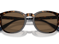 Shiny Dark Havana / Brown (500373)