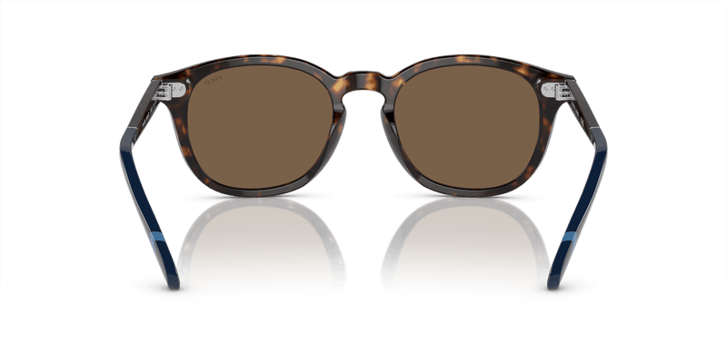 Polo Ralph Lauren PH4206 in Shiny Dark Havana / Brown (500373) - Alternate View