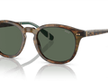 Shiny Brown Tortoise / Bottle Green (501771)