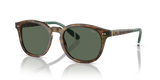 Shiny Brown Tortoise / Bottle Green (501771)