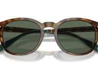 Shiny Brown Tortoise / Bottle Green (501771)